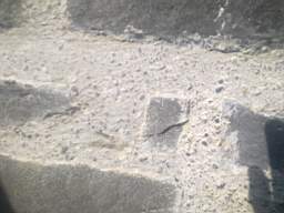 millstreet 13400.jpg